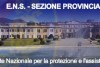 LOGO ENS VARESE